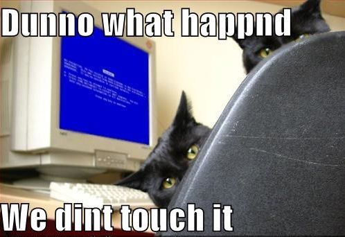 404